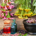 Healing Herbs and Plants: A Comprehensive Guide