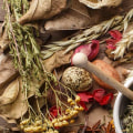 Do Herbs Heal? Exploring the Benefits of Ashwagandha, Chamomile, Echinacea, Garlic and Ginger