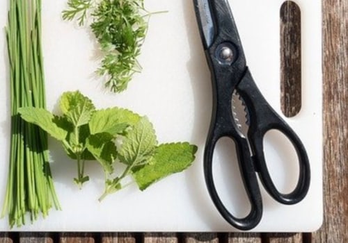 Healing Herbs: Exploring the Benefits of Pepper, Dill, Chamomile, Lemon Balm, Rosemary, Thyme, Sage, Bay Leaf, Gingko, Turmeric, Evening Primrose Oil, Flax Seed and Tea Tree Oil